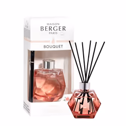 Maison Berger Paris 006143, Vase, Diffuseur bâtonnet