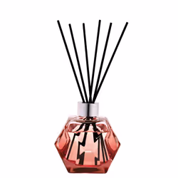 Maison Berger Paris 006143 diffuseur aromatique Vase Verre Rouge