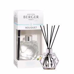 Maison Berger Paris 006149, Vase, Diffuseur bâtonnet