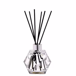 Maison Berger Paris 006149 diffuseur aromatique Vase Verre Transparent