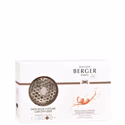 Maison Berger Paris 006401, Voiture, Acier inoxydable, Pamplemousse, Patchouli, 28 jour(s), Boîte