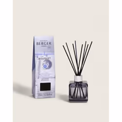 Maison Berger Paris 006654, Flacon de parfum, Diffuseur bâtonnet, 0,125 L