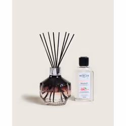 Maison Berger Paris 6839 diffuseur aromatique Flacon de parfum Verre Violet