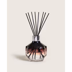 Maison Berger Paris 6839 diffuseur aromatique Flacon de parfum Verre Violet