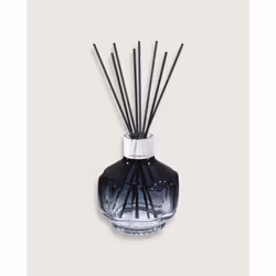 Maison Berger Paris 6840, Flacon de parfum, Diffuseur bâtonnet, 0,2 L