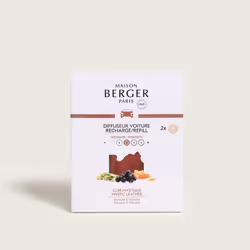 Maison Berger Paris 006887 Assainisseur à cliper