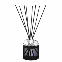 Maison Berger Paris Astral diffuseur aromatique Flacon de parfum Verre Gris