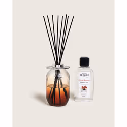 Maison Berger Paris 006997, Flacon de parfum, Diffuseur bâtonnet, 0,2 L