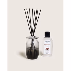 Maison Berger Paris 006998, Flacon de parfum, Diffuseur bâtonnet, 0,2 L