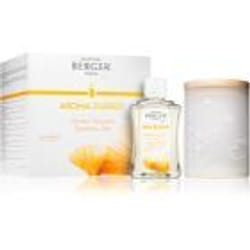 Maison Berger Paris Mist Diffuser Aroma Energy 1 pcs