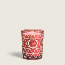 Maison Berger Paris 007409 bougie en cire Cylindre Rouge 1 pièce(s)