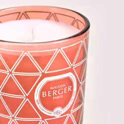 Maison Berger Paris 007409 bougie en cire Cylindre Rouge 1 pièce(s)