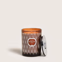 Maison Berger Paris 007493 bougie en cire Cylindre Floral Orange 1 pièce(s)