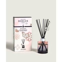 Maison Berger Paris 007586 diffuseur aromatique Flacon de parfum Verre Rose, Argent