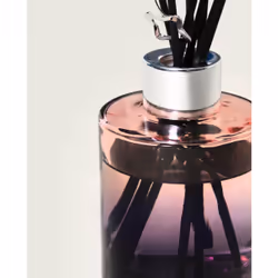 Maison Berger Paris 007586 diffuseur aromatique Flacon de parfum Verre Rose, Argent