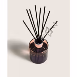 Maison Berger Paris 007586 diffuseur aromatique Flacon de parfum Verre Rose, Argent