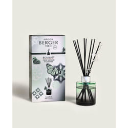 Maison Berger Paris 007587 diffuseur aromatique Flacon de parfum Verre Vert, Argent