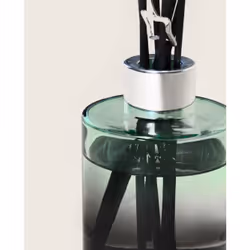 Maison Berger Paris 007587 diffuseur aromatique Flacon de parfum Verre Vert, Argent
