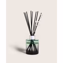 Maison Berger Paris 007587 diffuseur aromatique Flacon de parfum Verre Vert, Argent
