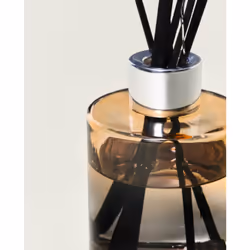 Maison Berger Paris 007588 diffuseur aromatique Flacon de parfum Verre Orange, Argent