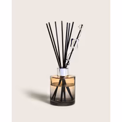Maison Berger Paris 007588 diffuseur aromatique Flacon de parfum Verre Orange, Argent