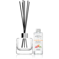 Maison Berger Paris Cube Goji Berries 100 ml