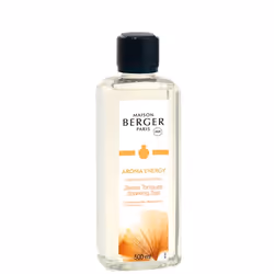 Maison Berger Paris 115368, Bouteille, Liquide, Pamplemousse, Musc, Orange, Pêche, Ananas, Transparent, 500 ml, France