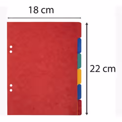 Exacompta 406E intercalaire Carton