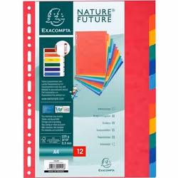 EXACOMPTA Intercalaires Carte Lustrée A4 12 Positions 225g