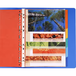Exacompta 2406E intercalaire Carton Multicolore 6 pièce(s)
