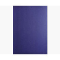 Exacompta 2752C protecteur de feuilles 210 x 297 mm (A4)