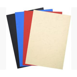 Exacompta 2789C protecteur de feuilles 210 x 297 mm (A4)