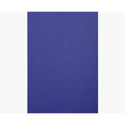Exacompta 2790C protecteur de feuilles 210 x 297 mm (A4)