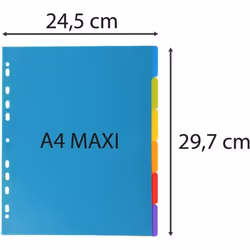 Exacompta 3806E intercalaire Polypropylène (PP) Translucide