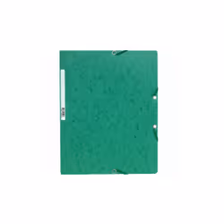 Exacompta 5513E, A4, Carton, Vert, 250 feuilles, 0,5 mm, 240 mm