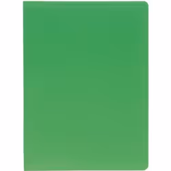 EXACOMPTA Porte-vues A4 Polypropylène souple Pochettes grainées opaque 80 vues Vert