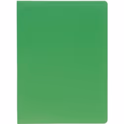 EXACOMPTA Porte-vues A4 Polypropylène souple Pochettes grainées opaque 100 vues Vert