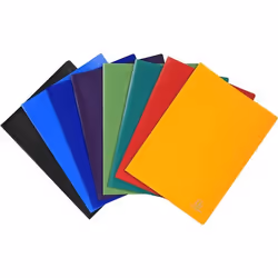 Porte vues Exacompta porte document avec pochettes lisses et transparente - Lutin 60 pochettes et 120 vues -Format A4-Vert cl ...