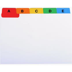 Exacompta 13996E intercalaire Carton Blanc