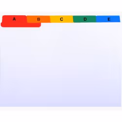 Exacompta 13997E, Blanc, Carton, A6, 160 g/m²