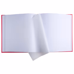 Exacompta Plum album photo et protège-page Baie, Or 300 feuilles Reliure du livre
