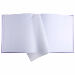 Exacompta Plum album photo et protège-page Or, Violet 300 feuilles Reliure du livre