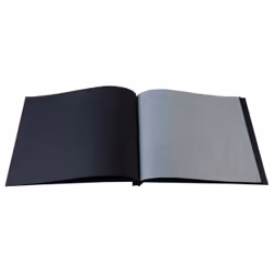 Exacompta Aramy album photo et protège-page Noir, Or 160 feuilles Reliure du livre