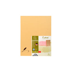 Exacompta Parafeermap harmonicarug Forever - 20 compartimenten