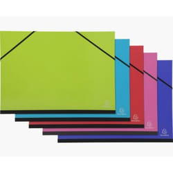 Exacompta 25729E fichier Carton Multicolore A3 (297x420)