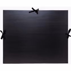 Exacompta 25738E, Porte-documents, A3 (297x420), Carton, Noir, 1170 g/m², 320 mm