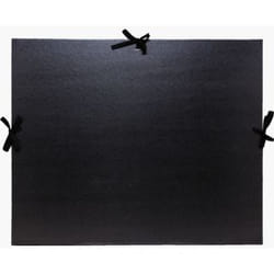 Exacompta 25738E fichier Carton Noir A3 (297x420)