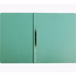 Exacompta 39993E fichier Carton comprimé Vert A4