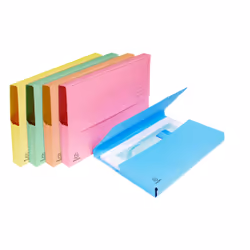 Exacompta 47970E fichier Carton Bleu, Vert, Orange, Rose, Jaune A4