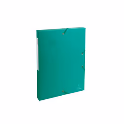 Exacompta Boite de classement Dos 25mm Carte lustrée - A4, Carton, Vert, A4, Portrait, Papier, 2,5 cm